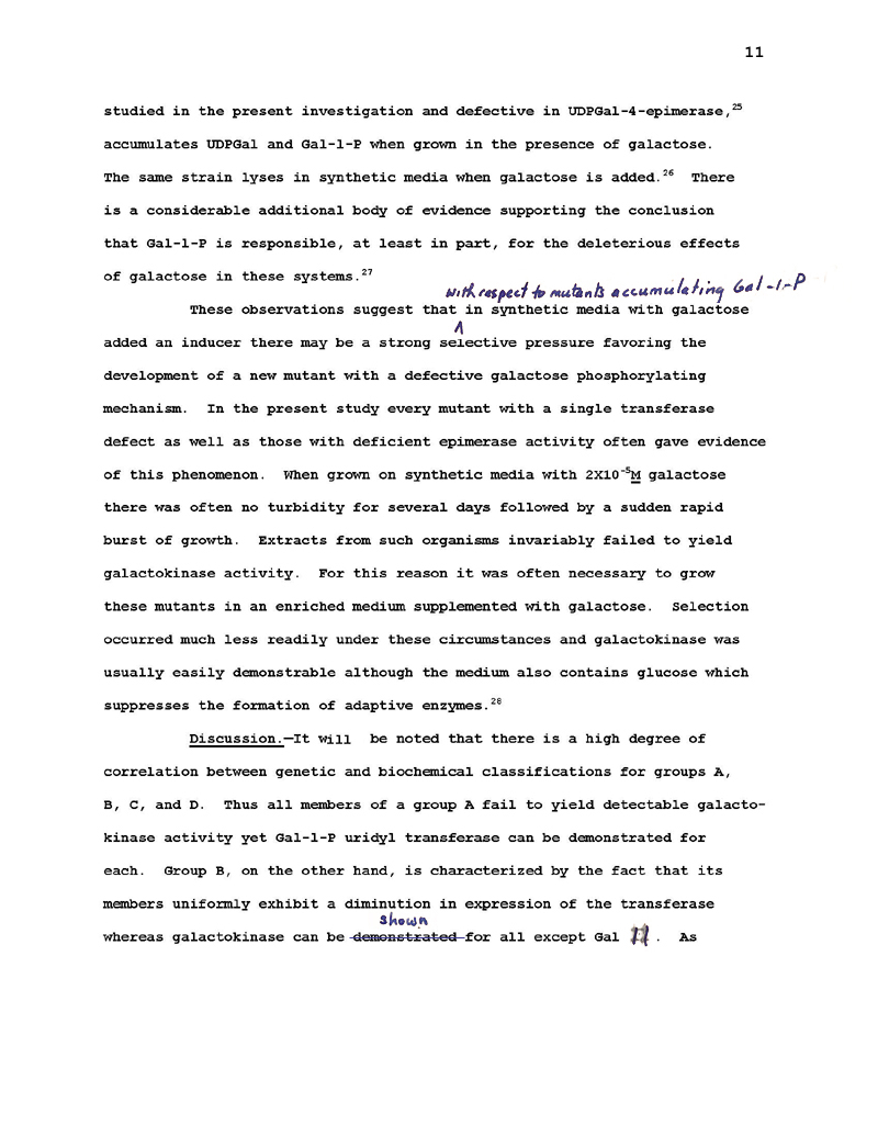 Soffer First Draft Recreated p11